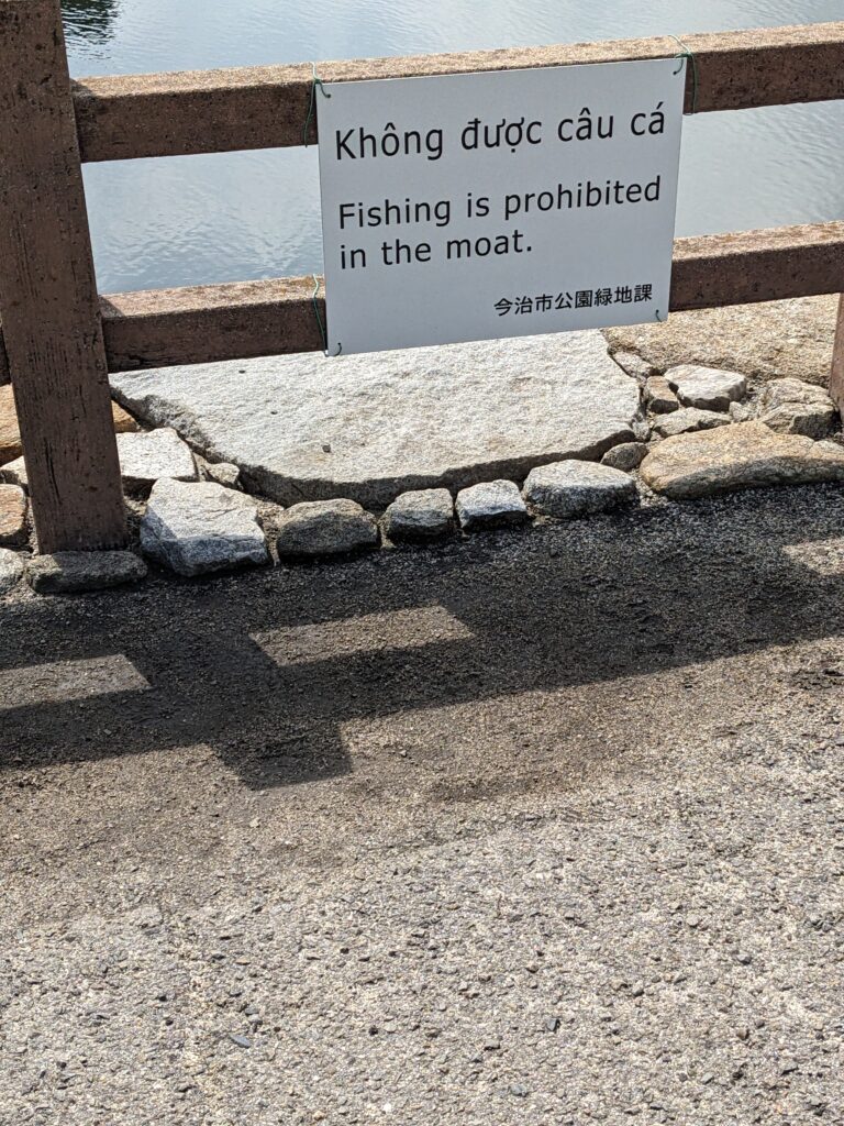 PXL 20260405 011712941.MP