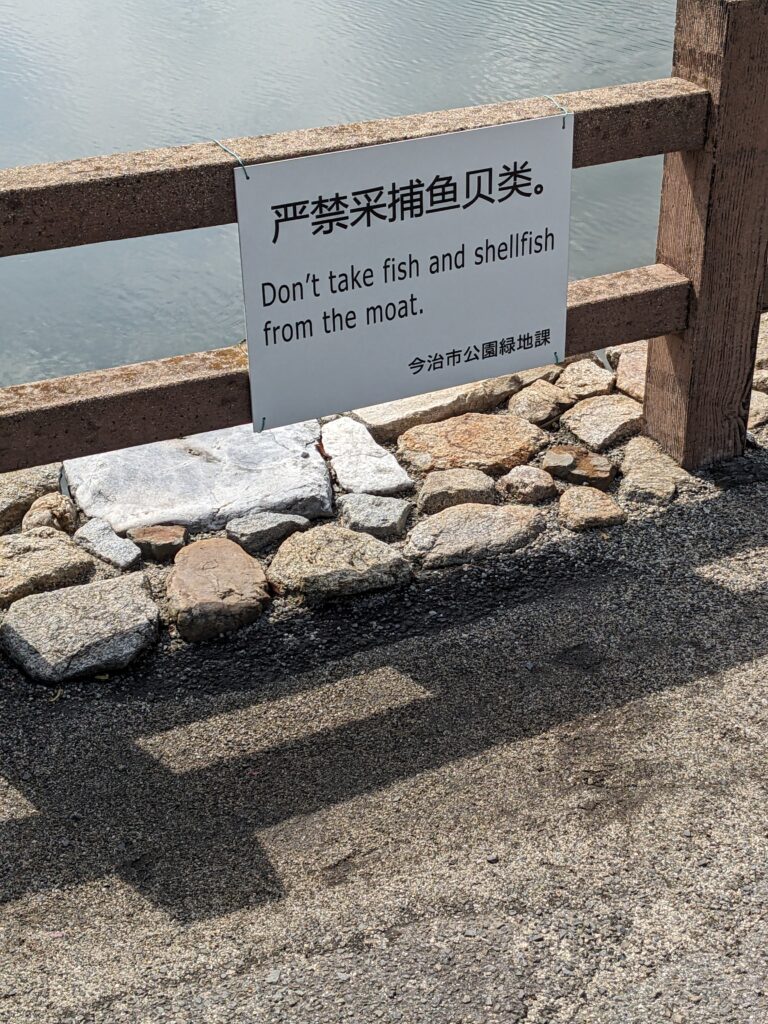 PXL 20260405 011716807.MP