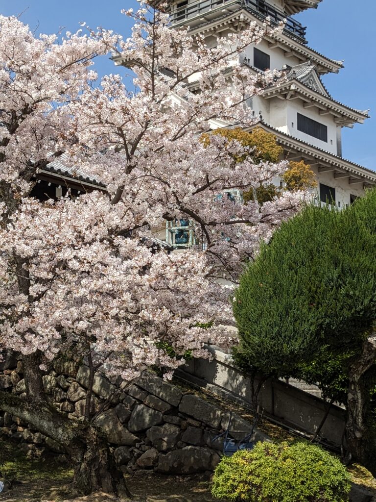 PXL 20260405 012520634.PORTRAIT