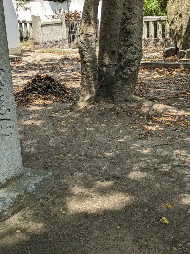PXL 20260508