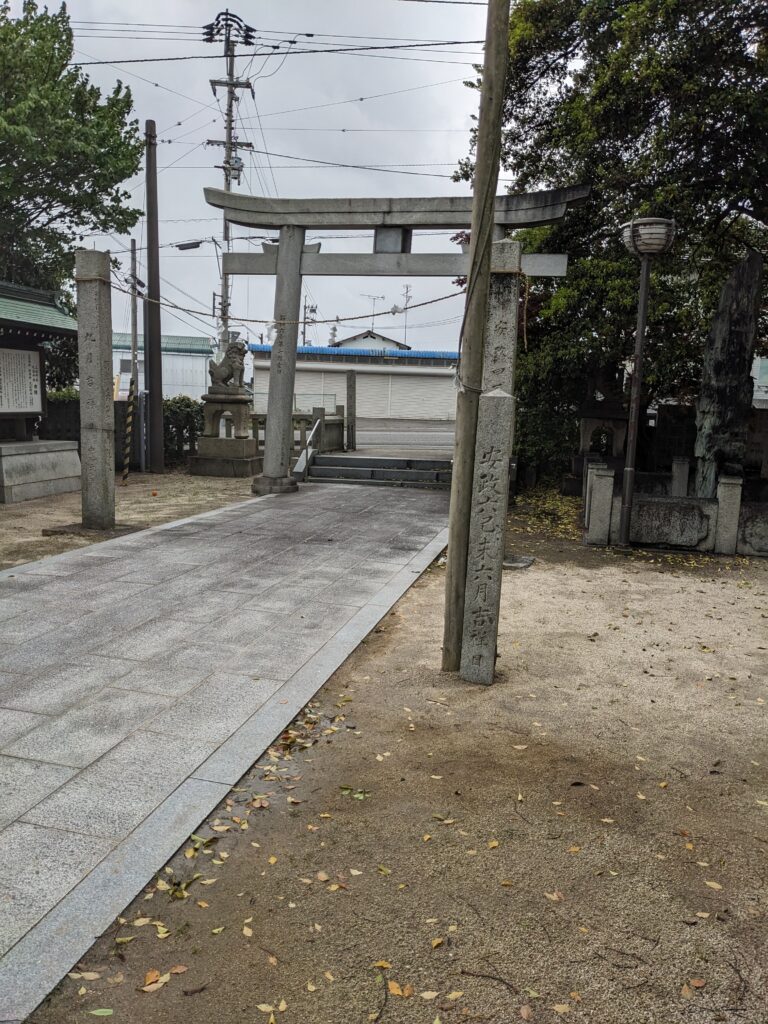 PXL 20260501